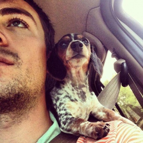 Фото приколы юмор и смешные картинки. Фото приколы (141 фото). фото, приколы, юмор, ржач, позитив