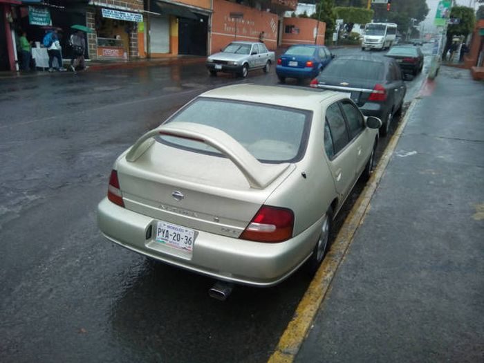 Подборка прикольных фото №1299 (105 фото)