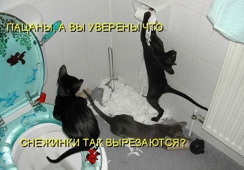 Если бы звери могли говорить (40 фото)