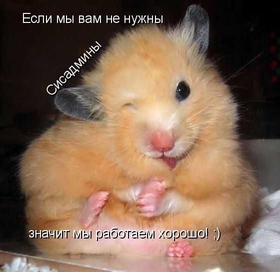 Если бы звери могли говорить (40 фото)