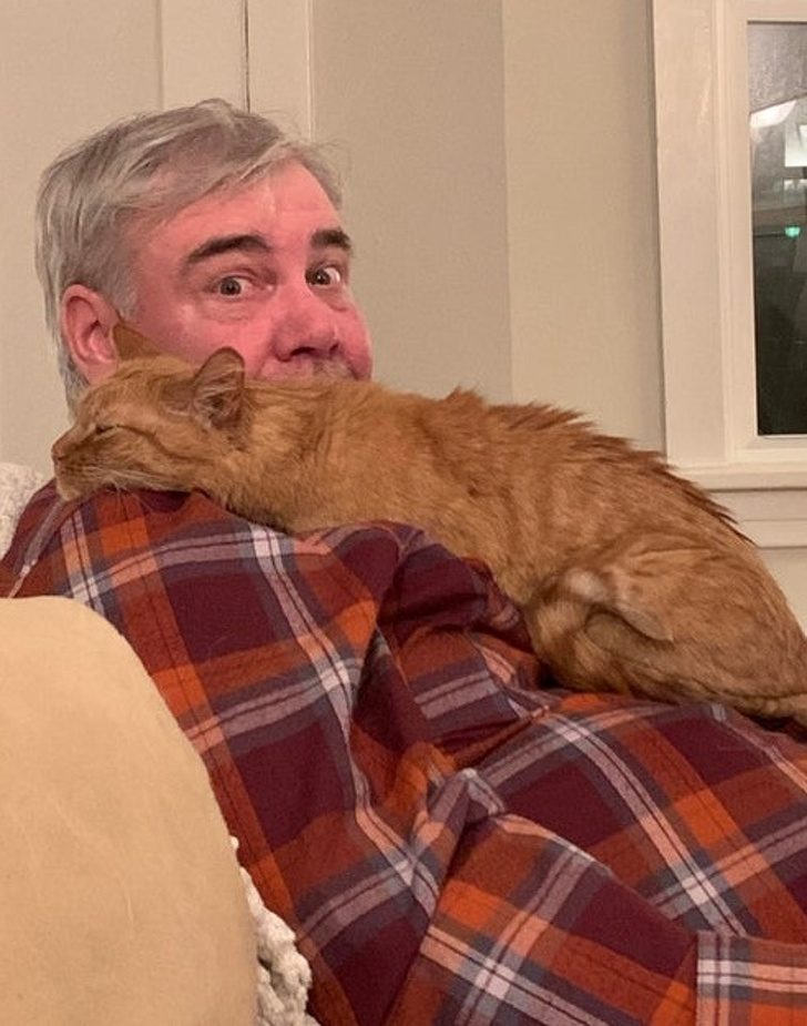 Нежные и заботливые: кошки, которые ломают стереотипы